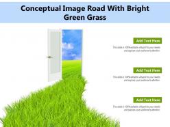 Conceptual Image Road With Bright Green Grass