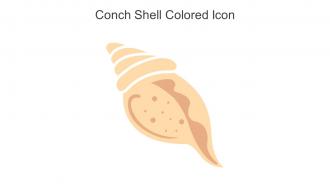 Conch Shell Colored Icon In Powerpoint Pptx Png And Editable Eps Format