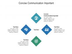 Concise communication important ppt powerpoint presentation styles graphics design cpb