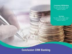 Conclusion crm banking ppt powerpoint presentation styles portrait cpb