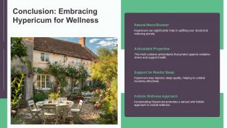 Conclusion Embracing Hypericum For Wellness PPT Sample ST AI SS