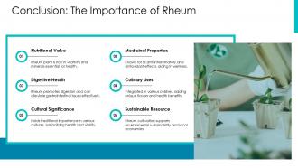 Conclusion The Importance Of Rheum Plant PPT Example ST AI SS