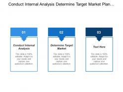 Conduct Internal Analysis Determine Target Market Plan Value Optimization