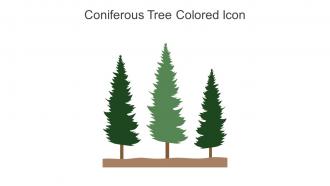 Coniferous Tree Colored Icon In Powerpoint Pptx Png And Editable Eps Format