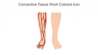 Connective Tissue Work Colored Icon In Powerpoint Pptx Png And Editable Eps Format