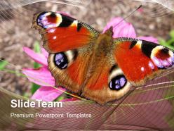 Conservation of nature powerpoint templates colored butterfly beauty image ppt slide designs