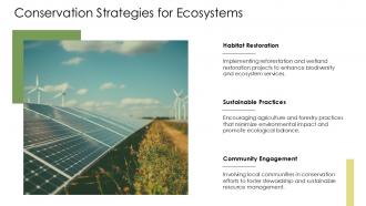 Conservation Strategies For Ecosystems Ecological Chain PPT Demonstration ACP