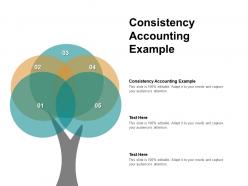 Consistency accounting example ppt powerpoint presentation pictures slide cpb