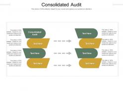 Consolidated audit ppt powerpoint presentation show graphics design cpb