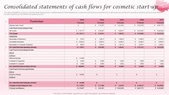 Consolidated Statements Of Cash Flows Cosmetic Industry Business Plan BP SS