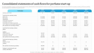Consolidated Statements Of Cash Flows Custom Fragrance Business Plan BP SS
