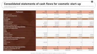 Consolidated Statements Of Cash Flows For Cosmetic Start Up Beauty Business Plan BP SS