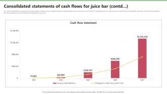Consolidated Statements Of Cash Flows For Juice Nekter Juice And Shakes Bar Business Plan Sample BP SS Professionally Ideas
