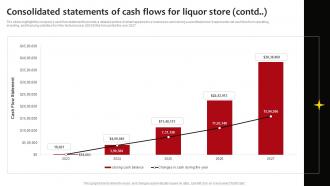 Consolidated Statements Of Cash Flows Neighborhood Liquor Store BP SS Template Slides