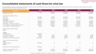 Consolidated Statements Of Cash Flows Wine And Cocktail Bar Business Plan BP SS