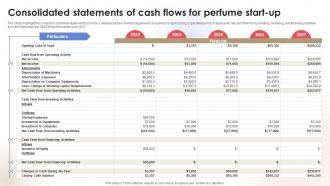 Consolidated Statements Of Cash Fragrance Business Plan BP SS