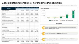 Consolidated Statements Of Net Income Lawn Mowing Business Plan BP SS