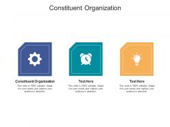 Constituent organization ppt powerpoint presentation show rules cpb