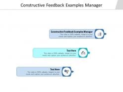 Constructive feedback examples manager ppt powerpoint presentation styles backgrounds cpb