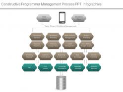 Constructive programmer management process ppt infographics