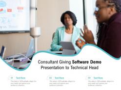 Consultant giving software demo presentation to technical head