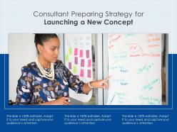 Consultant preparing strategy for launching a new concept