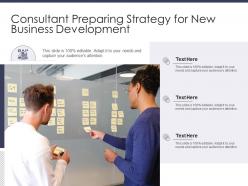 Consultant preparing strategy for new business development