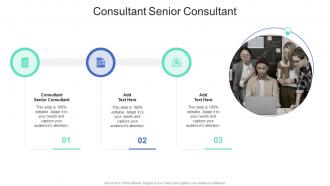 Consultant Senior Consultant In Powerpoint And Google Slides Cpb