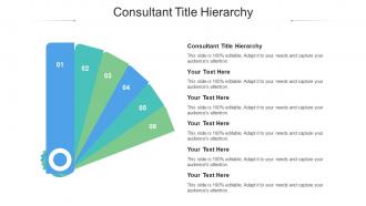 Consultant Title Hierarchy Ppt Powerpoint Presentation Pictures Samples Cpb