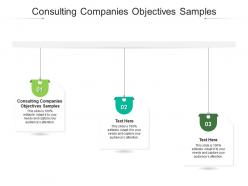 Consulting companies objectives samples ppt powerpoint presentation styles infographic template cpb