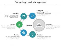 Consulting lead management ppt powerpoint presentation infographic template graphics cpb