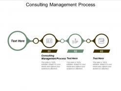 Consulting management process ppt powerpoint presentation model information cpb