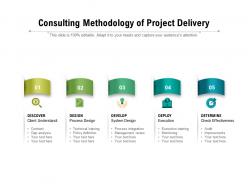 Consulting methodology of project delivery