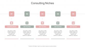 Consulting Niches In Powerpoint And Google Slides Cpb