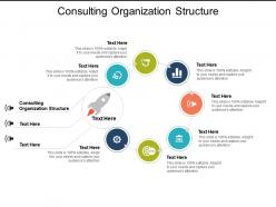Consulting organization structure ppt powerpoint presentation infographics icon cpb