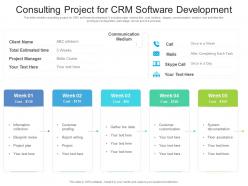Consulting Project For CRM Software Development