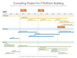 Consulting project for it platform building