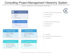 Consulting project management hierarchy system