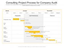 Consulting project process for company audit