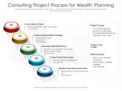 Consulting project process for wealth planning