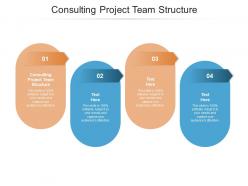 Consulting project team structure ppt powerpoint presentation icon example cpb