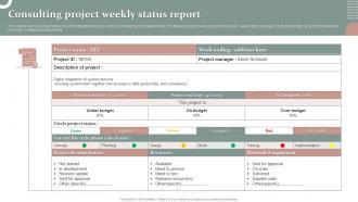 Consulting Project Weekly Status Report
