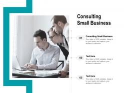 Consulting small business ppt powerpoint presentation outline layout cpb