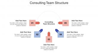Consulting Team Structure Ppt Powerpoint Presentation Pictures Image Cpb