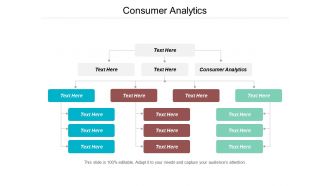 Consumer analytics ppt powerpoint presentation pictures microsoft cpb