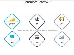 Consumer behaviour ppt powerpoint presentation file templates cpb