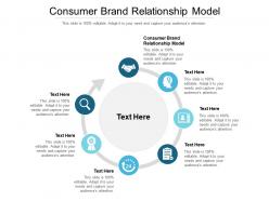 Consumer brand relationship model ppt powerpoint presentation gallery outfit cpb