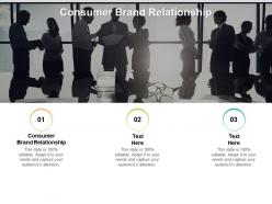 Consumer brand relationship ppt powerpoint presentation infographics elements cpb