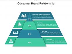 Consumer brand relationship ppt powerpoint presentation professional example introduction cpb