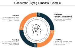 Consumer buying process example ppt powerpoint presentation slides examples cpb